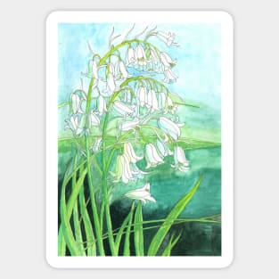 Bluebells watercolour painting Sticker